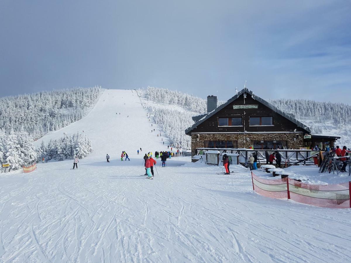 Depandance MARNET Sněžník Dolní Morava Exterior foto